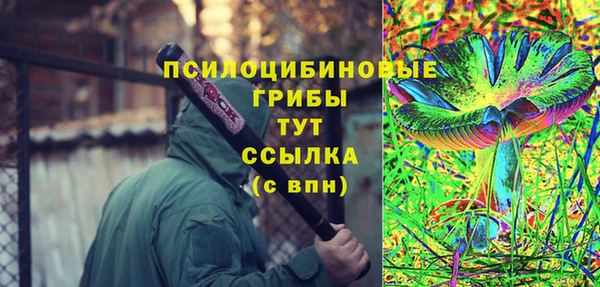 первитин Алексин